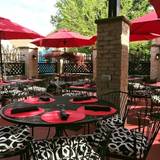 Cover image for sarita a restaurant