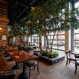 Cover image for Grain