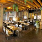 Cover image for The Arbour - Pasadena