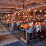 Cover image for The Anthologist