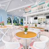 Cover image for Bleu - Ritz Carlton Orlando