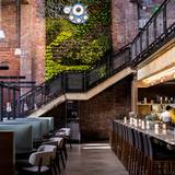 Cover image for Gunther & Co.