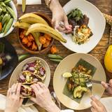 Cover image for Palm House