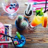 Cover image for Yucca