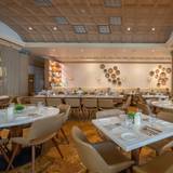 Cover image for Vergina