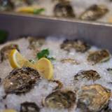 Cover image for Matts Rotisserie & Oyster Lounge