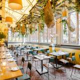 Cover image for Serafina 79