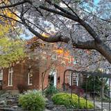 Cover image for Cheers at The Old Post Office