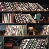 Cover image for The Common