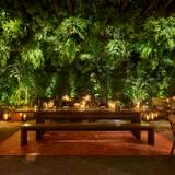 Cover image for Ardor