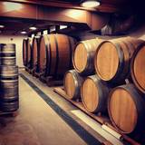 Cover image for Campio Brewing Co