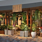 Cover image for Kuba Cabana