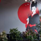 Cover image for Hakashi Japanese Sushi Bar & Grill