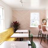 Cover image for The Pink Dinghy