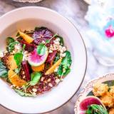 Cover image for Son & Garden - San Francisco