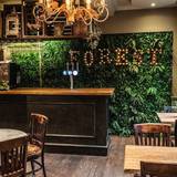 Cover image for Forest