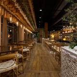 Cover image for Vasili's