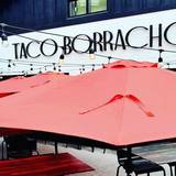Cover image for Taco Borracho