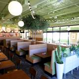 Cover image for Oliver's Italian