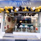 Cover image for Palm Asia