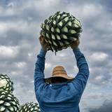 Pick Your Proof featuring Don Julio x Seedlip Photo