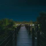 Dinner Under the Stars Photo