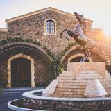 The Wild Ride: Black Stallion Wine Dinner photo