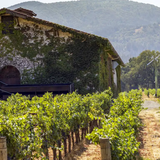 Grigich Hills Wine Dinner photo