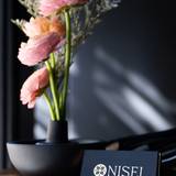 Bakers and Bakers at Nisei | May 21st Photo