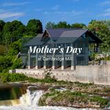 Mother's Day Dinner Photo