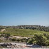 Gerard Bertrand Wine Dinner foto