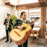 Mariachi - Live Music Photo