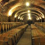 A Wine Night Journey Photo