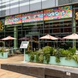 Cover image for Bill's Restaurant & Bar - Hammersmith