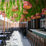 Cover image for Nueva Cantina - Downtown Tampa