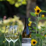 Meet the Winemaker: Aaron Miller of Plumpjack! foto