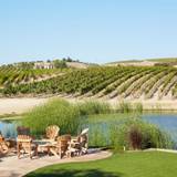 Battle of the Chefs with Chardonnay foto