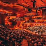 Danish National Symphony Orchestra Projection foto