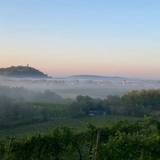 Antico Nuovo X I Clivi Winery photo