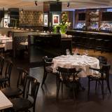 Cover image for Monarch @ Hotel Zaza