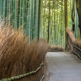 Summer Spirits Series Part 3-Spirits of Japan foto