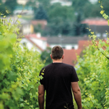 4-Gang-Menü mit Pfannebecker-Weinbegleitung foto