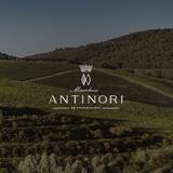 Antinori Wine Dinner Photo