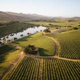 Quintessa Wine Dinner foto