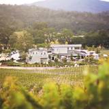 Justin Vineyard & Winery foto