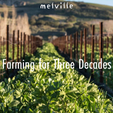 Melville Winery Anniversary Dinner foto