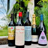 Scandi Sips - Half Price Bottles of Wine Foto
