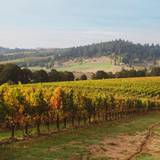Solena Estate Wine Dinner @ The National foto