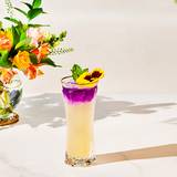 Sips of Summer Cocktail Event foto