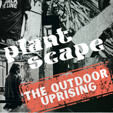 Late Summer Plantscape: The Outdoor Uprising! Foto